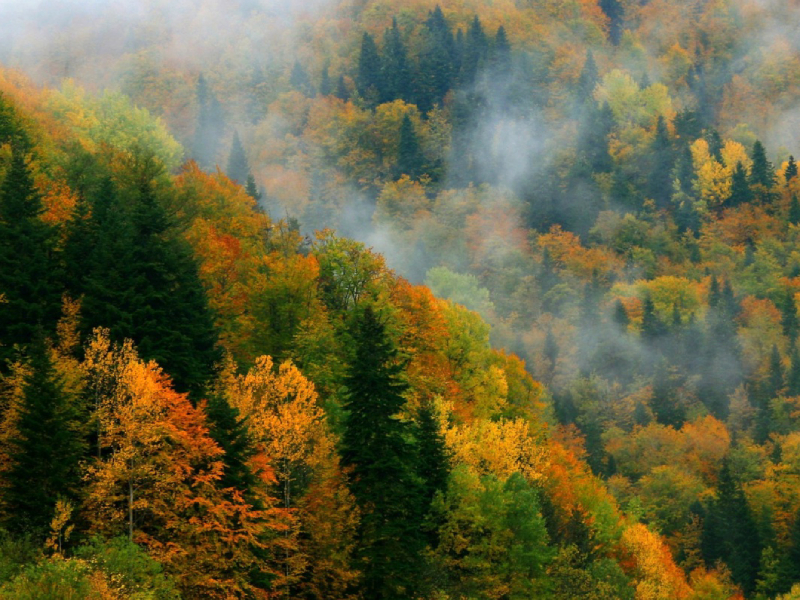 Seasons in Armenia, and Azerbaijan
